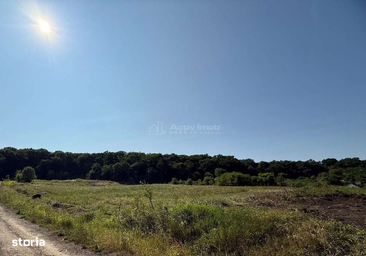 Loturi de 1000 mp de vanzare la Sura Mare - Imagine principală: 5/6