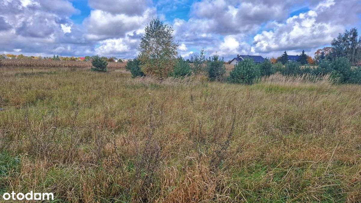 Działki  budowlane w spokojnej okolicy, Pakoslaw - Pełny obrazek: 4/8