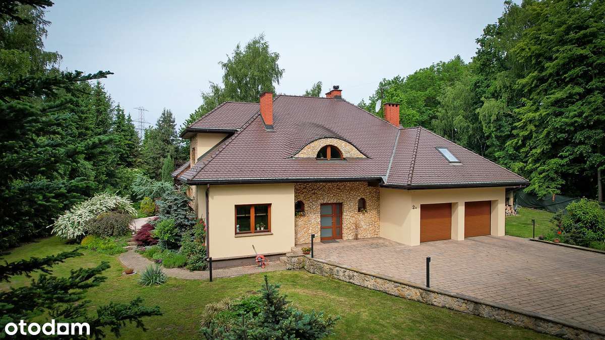 Twoja najlepsza historia zaczyna się tutaj-1