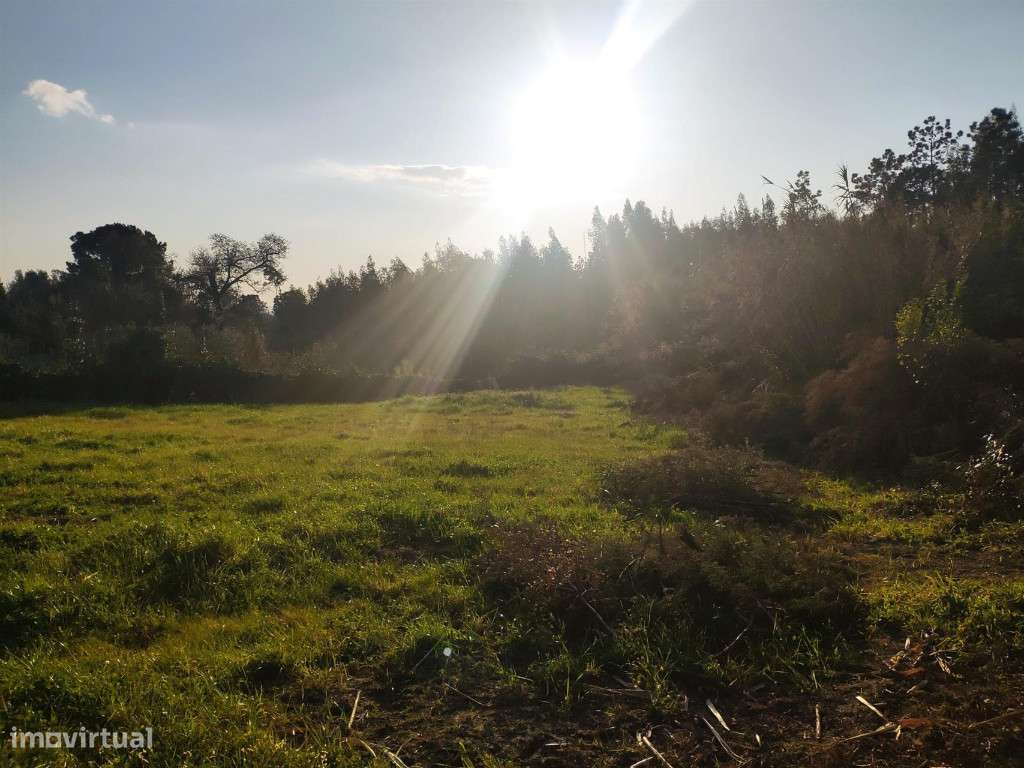 Terreno para construção, São Martinho da Árvore - Grande imagem: 2/10