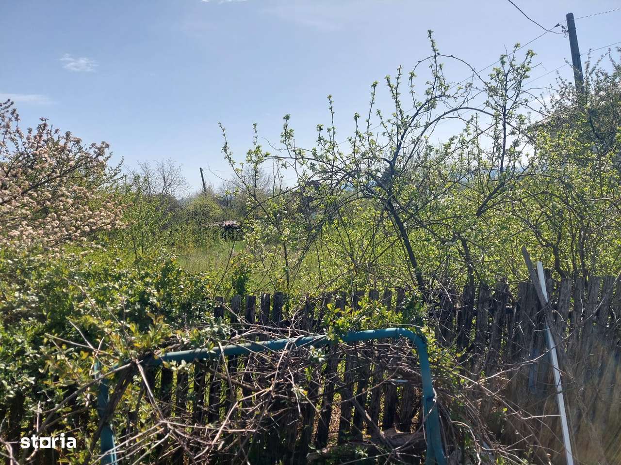 Teren centru Miroslava, langa Aauchan, intre case, toate utilitatile-6