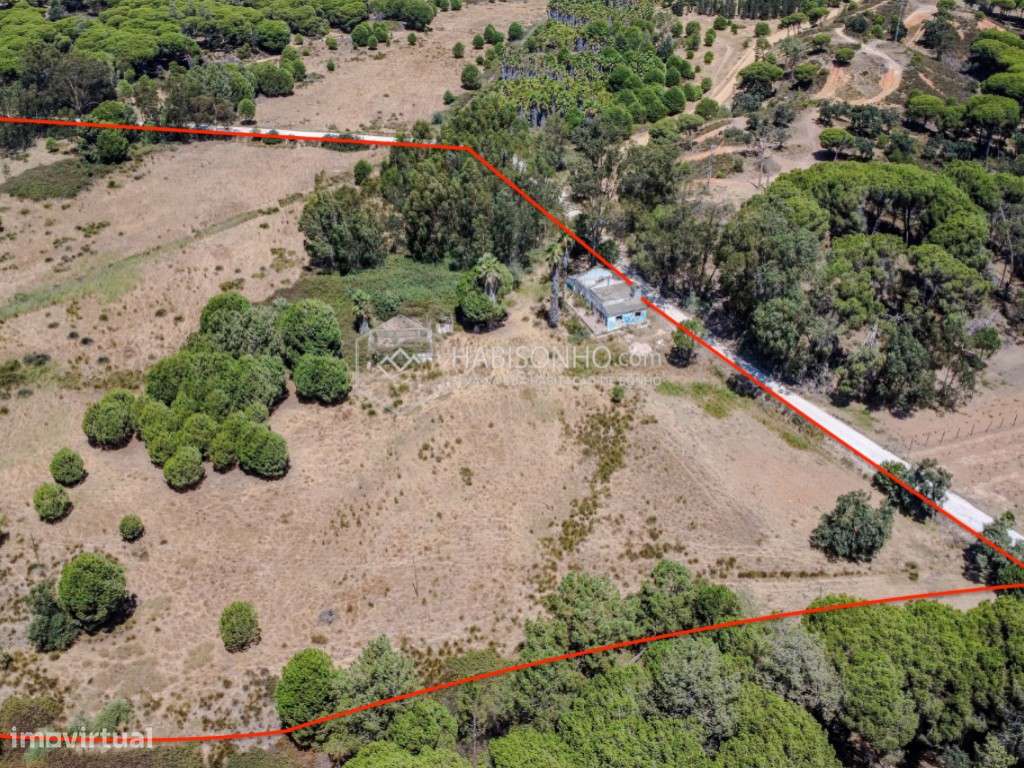 Quinta das Mouras | Faro | Montenegro - Grande imagem: 4/16