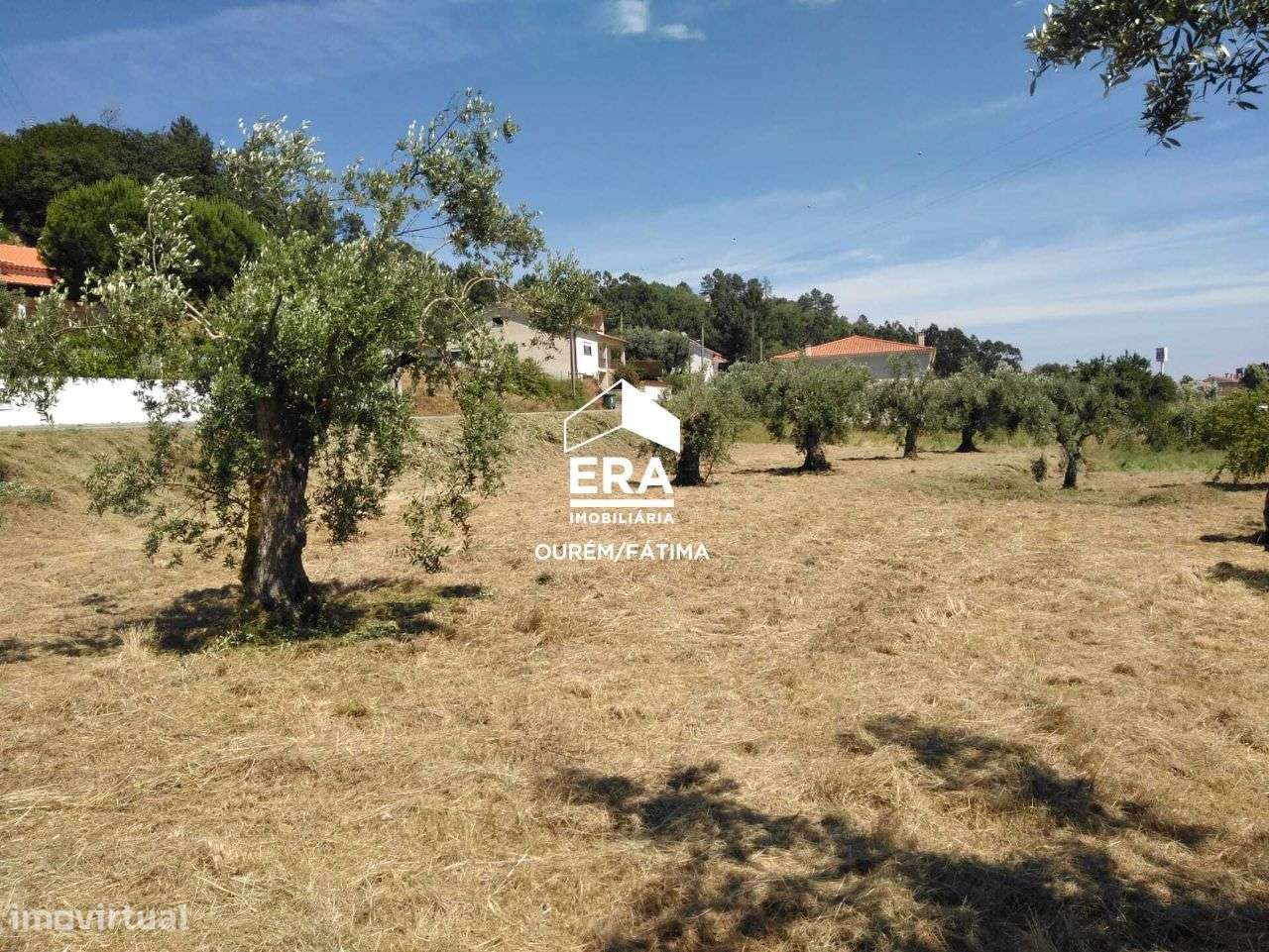 Terreno para Construção perto de Ourém - Grande imagem: 5/9