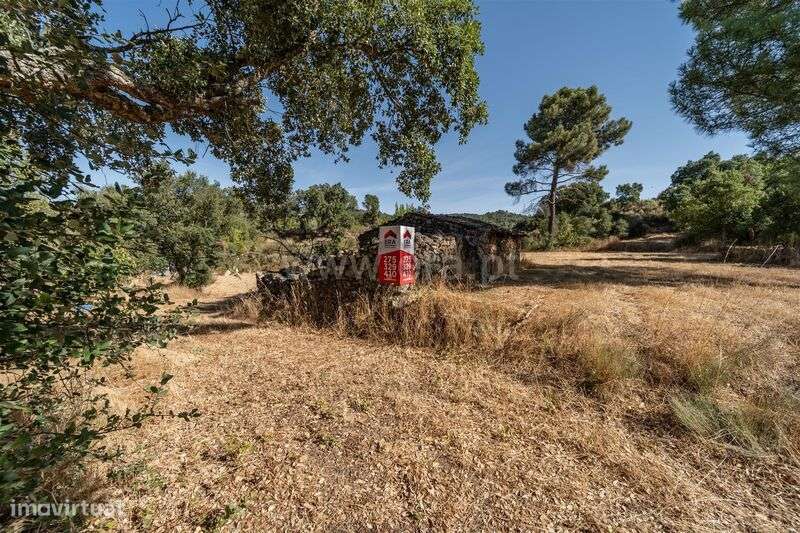 Terreno Rústico / Fundão, Pêro Viseu - Grande imagem: 4/20