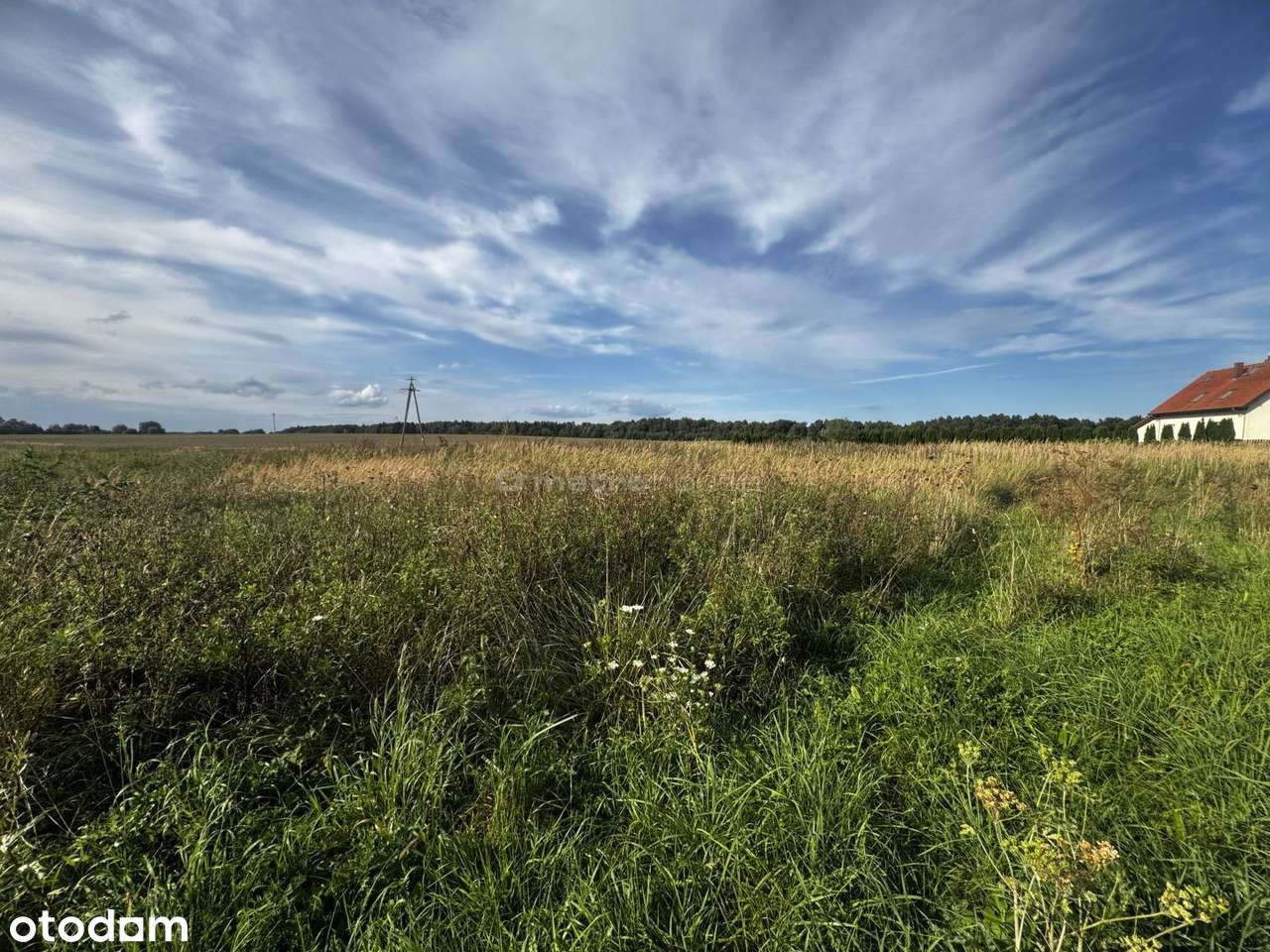 Działka na sprzedaż, Czernin - Pełny obrazek: 4/8