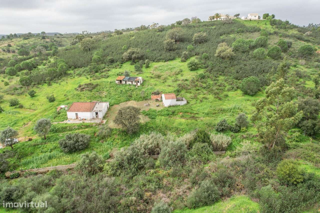 Quinta com casa e arrecadações com 23000m2 e dois poços na Senhora do - Grande imagem: 3/35