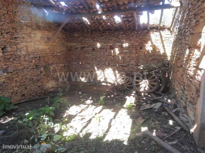 Quinta / Fundão, Enxames - Grande imagem: 3/14