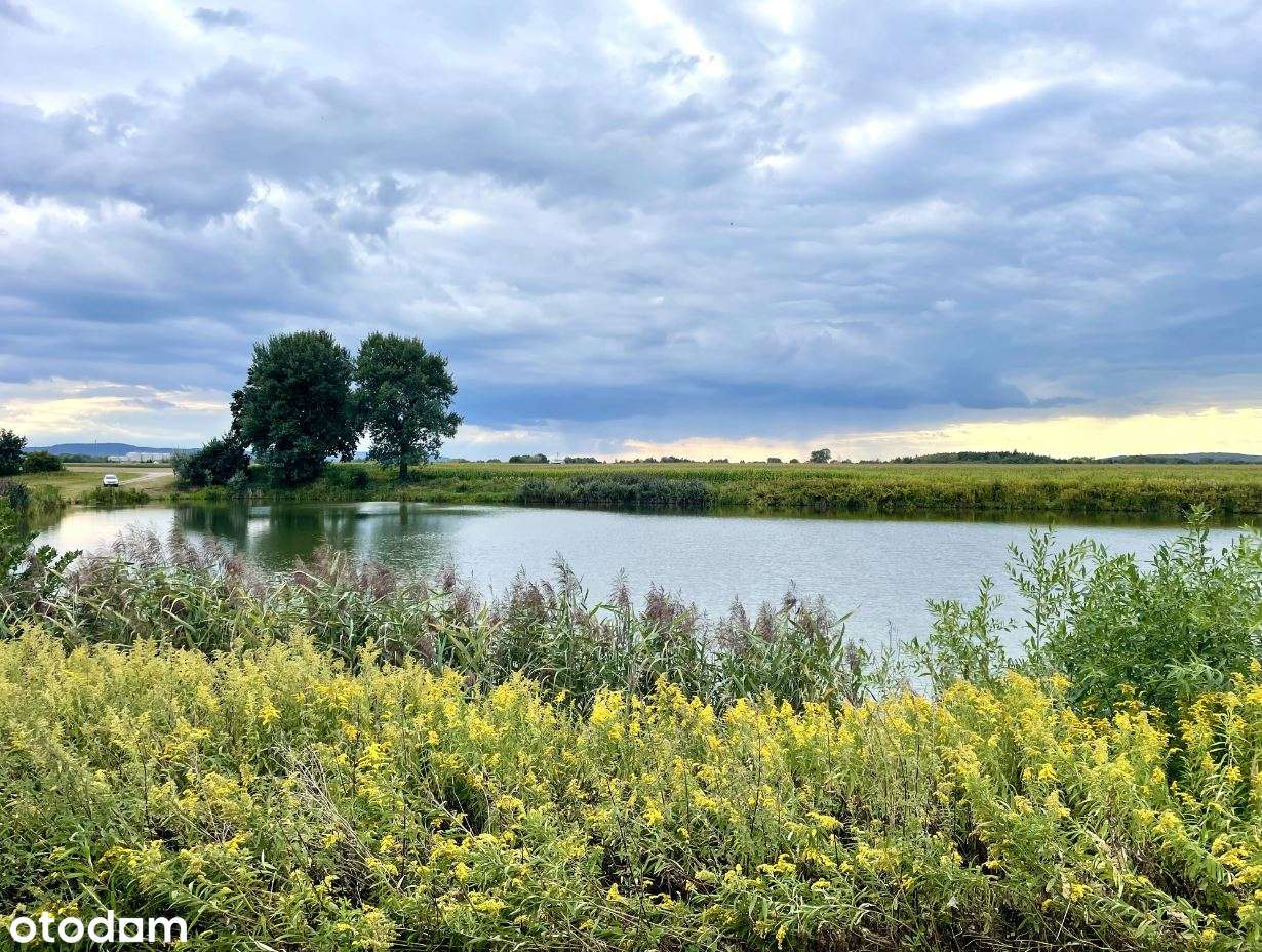 gm.Czernichów, Wołowice, budowlana, 10, 4 a, media, malownicza okolica-5