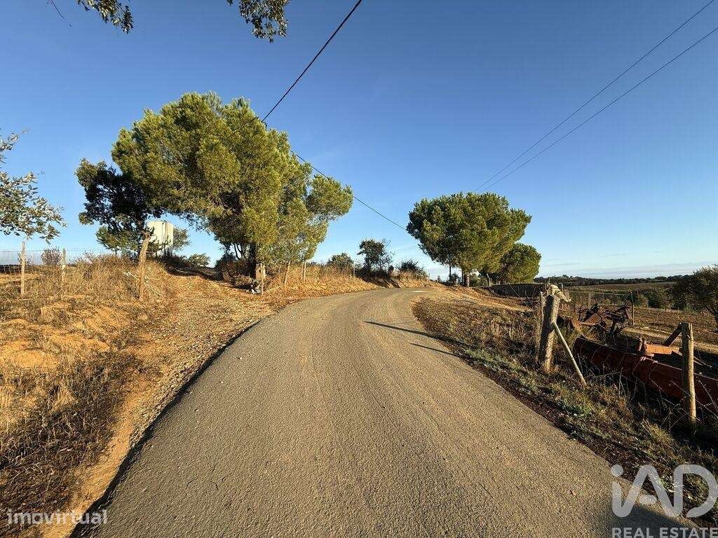 Quinta T3 em Colos - Grande imagem: 2/19