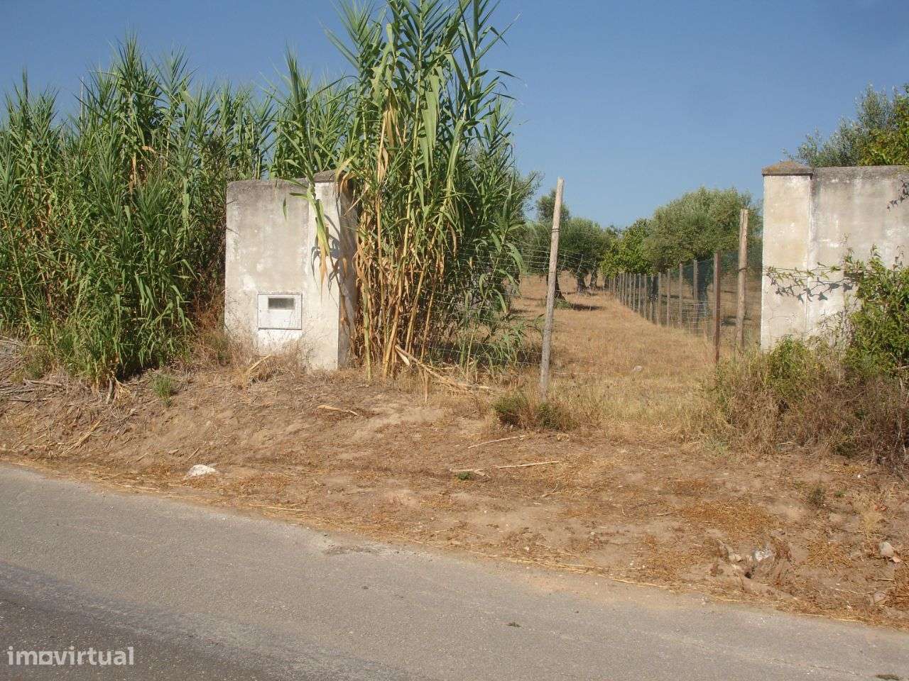 Lote Terreno - Grande imagem: 3/5