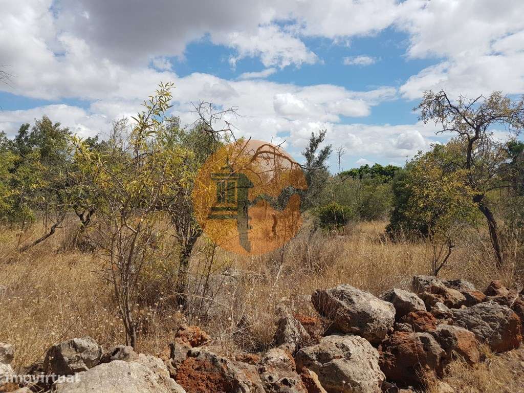 Terreno Rústico - Grande imagem: 4/7