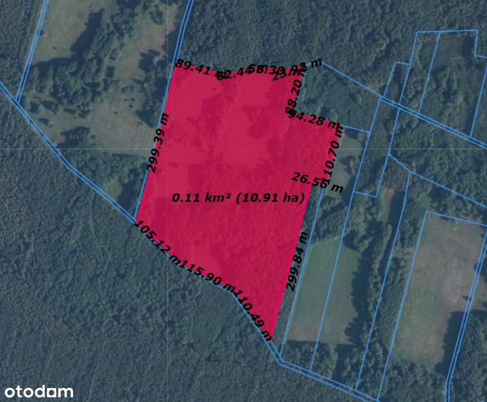 Działka rolna 10,74 ha |Pastwiska i drzewa | Kosyń - Pełny obrazek: 4/14
