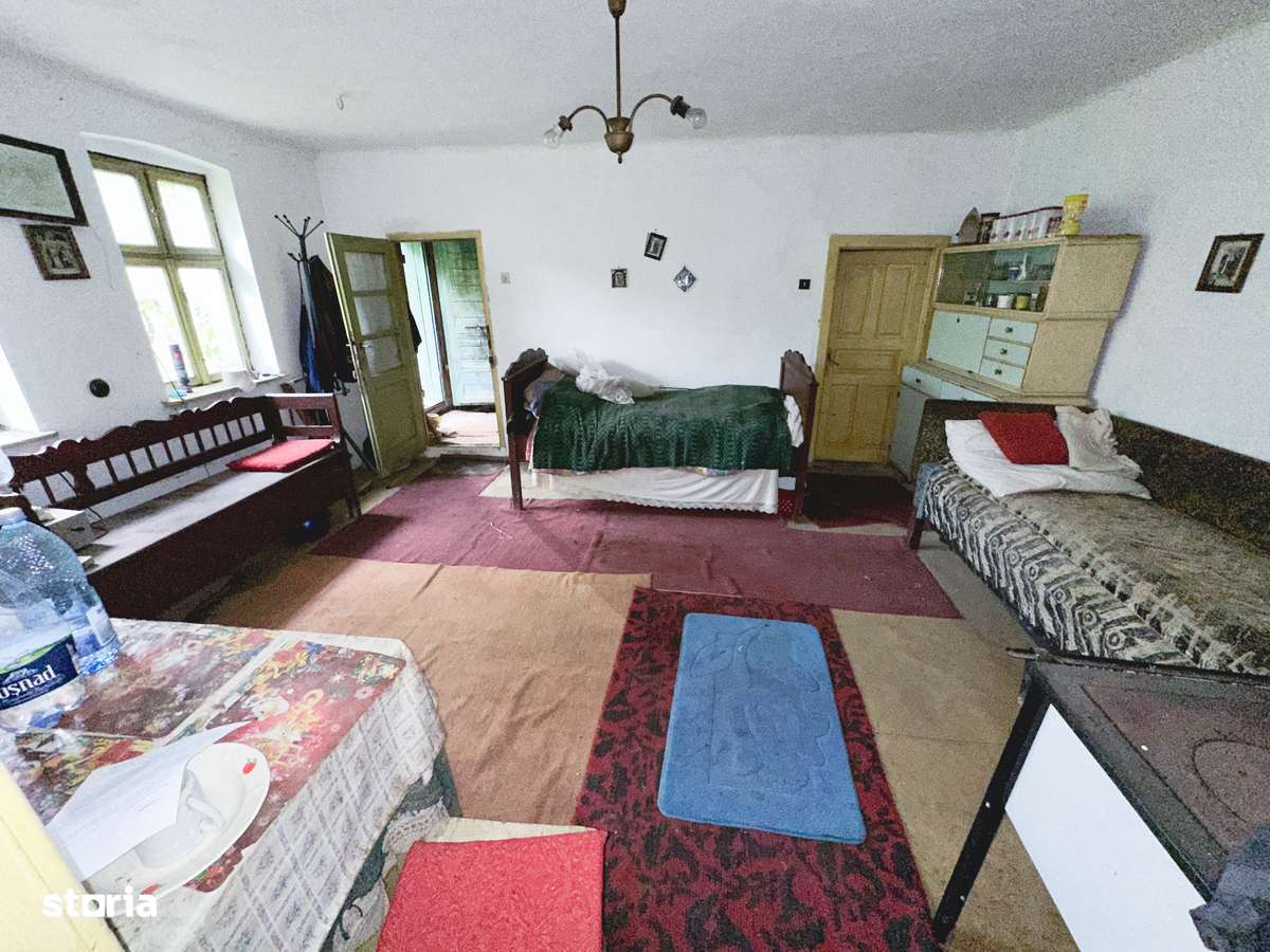 Casă DE VANZARE in Crăiești  (Comuna Adamuș) - Imagine principală: 3/20