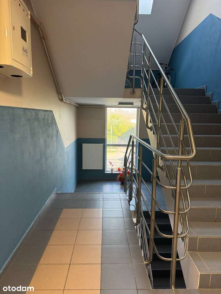 Do wynajęcia lokal biurowy 30 m² – Plewiska - Pełny obrazek: 5/7