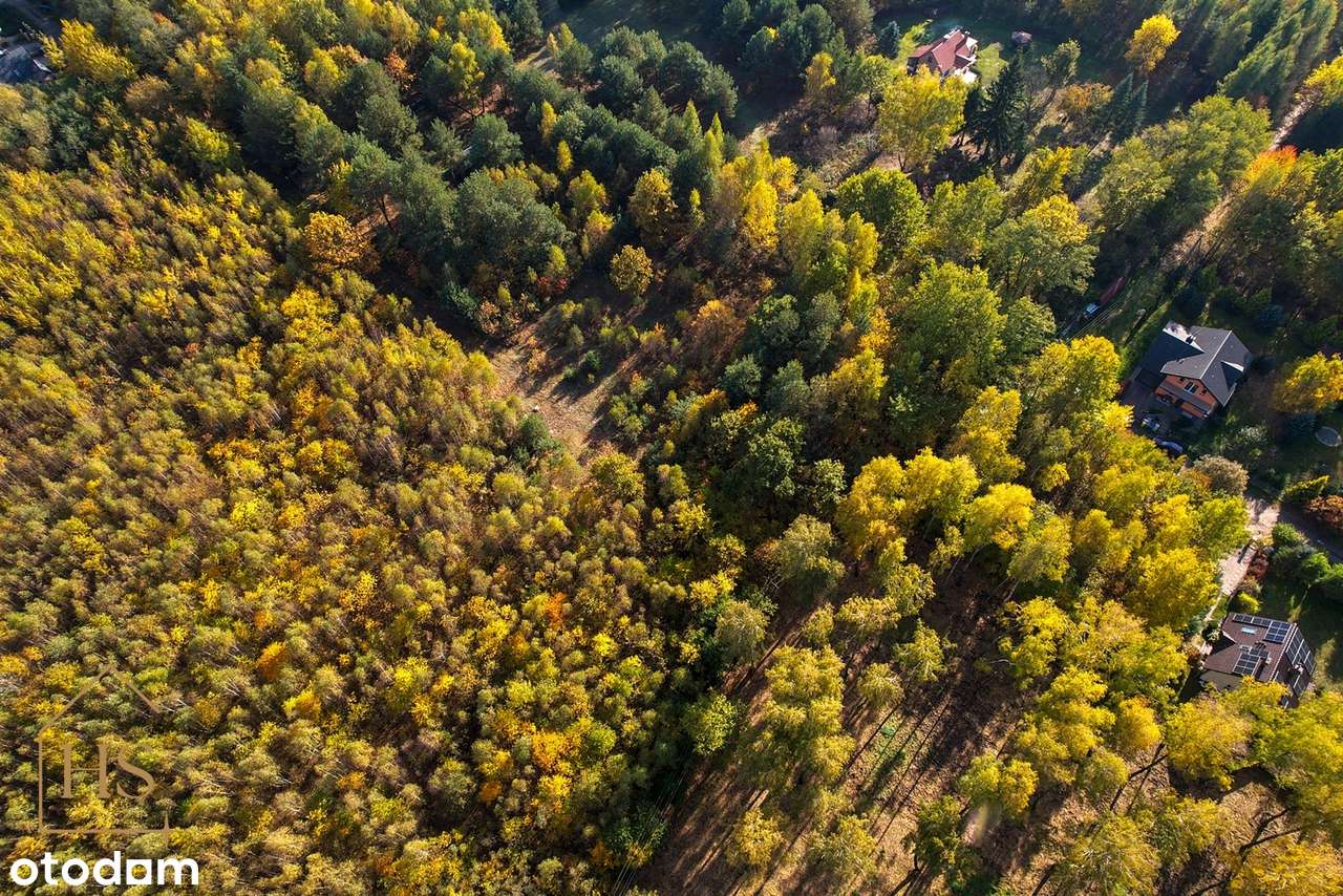 Działka budowlana w otulinie drzew/Żabia Wola/ 35 min do Warszawy-18