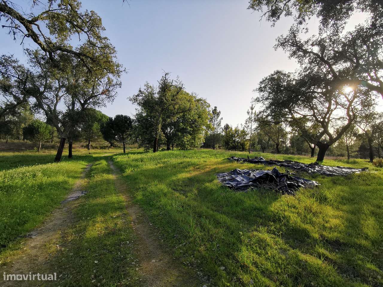 Moradia T2  Lamarosa de Coruche-23