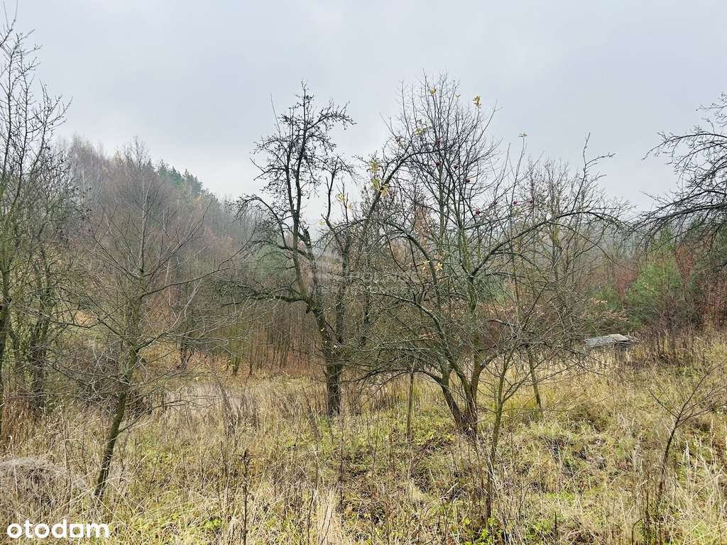 Działki rolne-Tymin - Pełny obrazek: 5/10