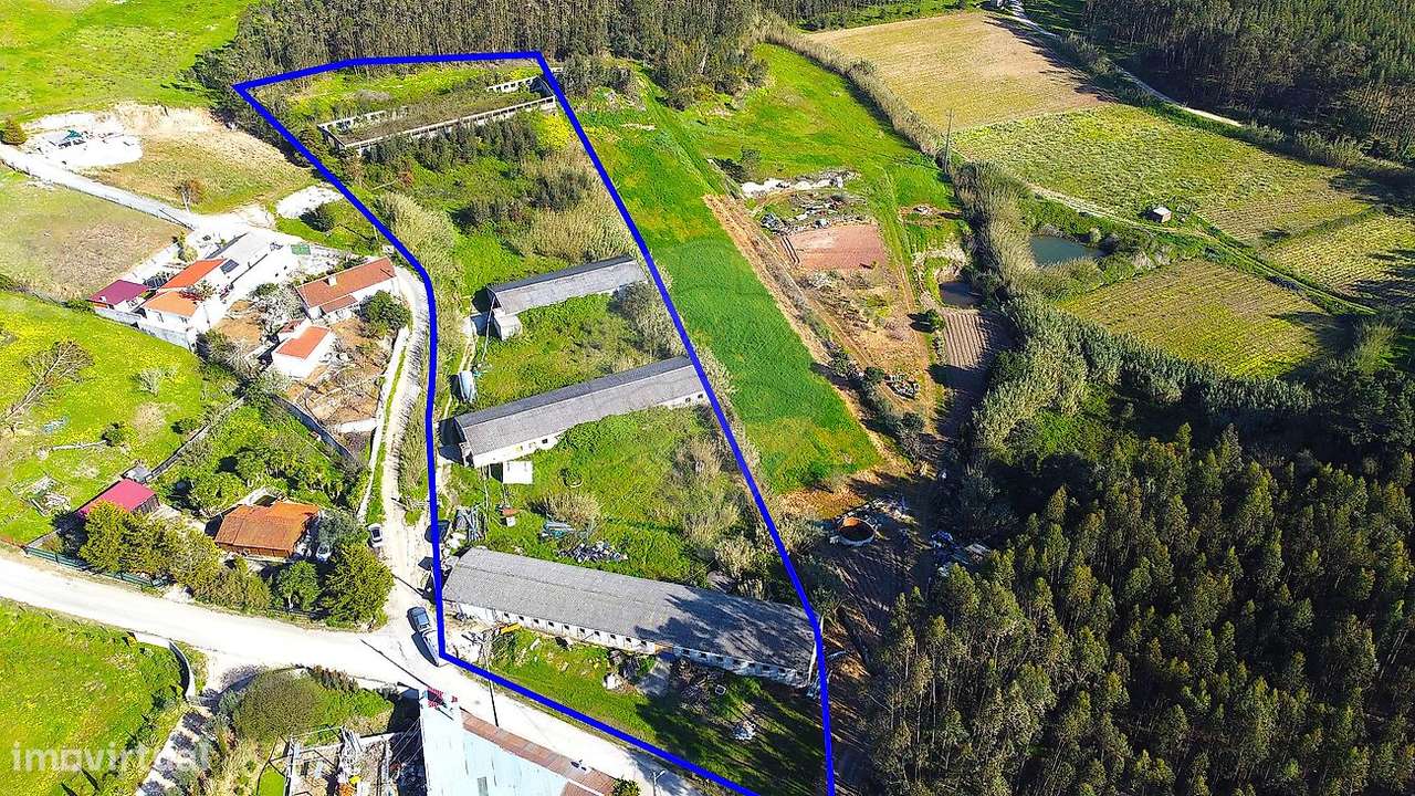 Armazém  para venda - Grande imagem: 3/8