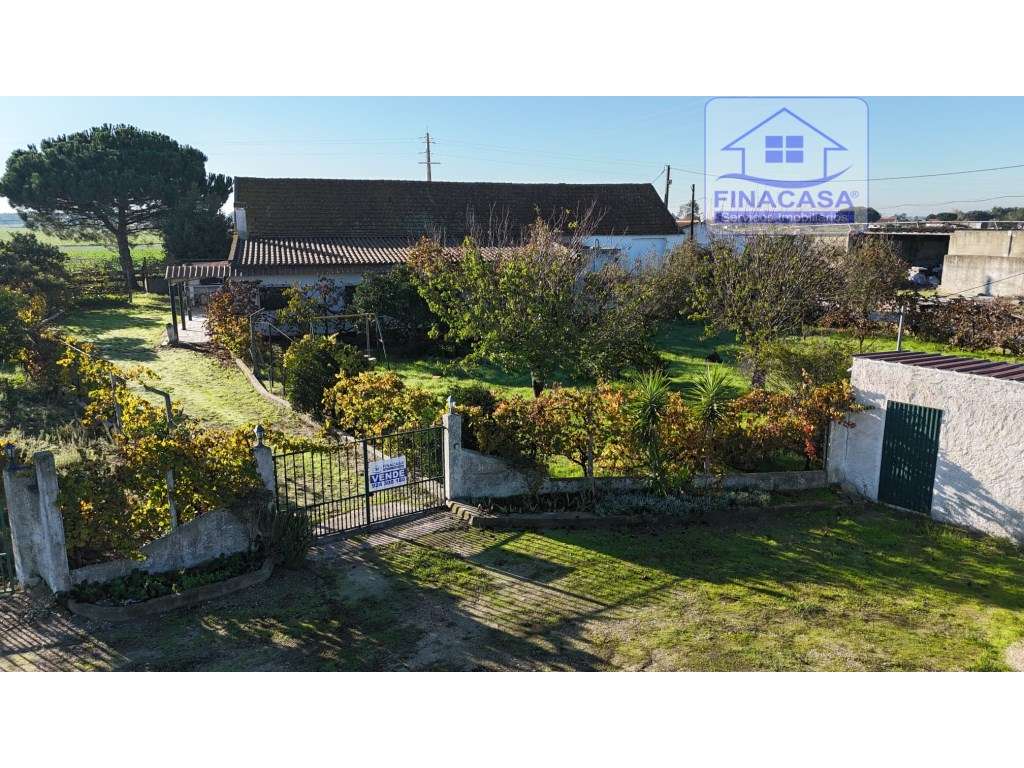 EXCLUSIVO - Quinta com 2069 m2, T1 e um armazém - Asseiceira(Palmela)-46