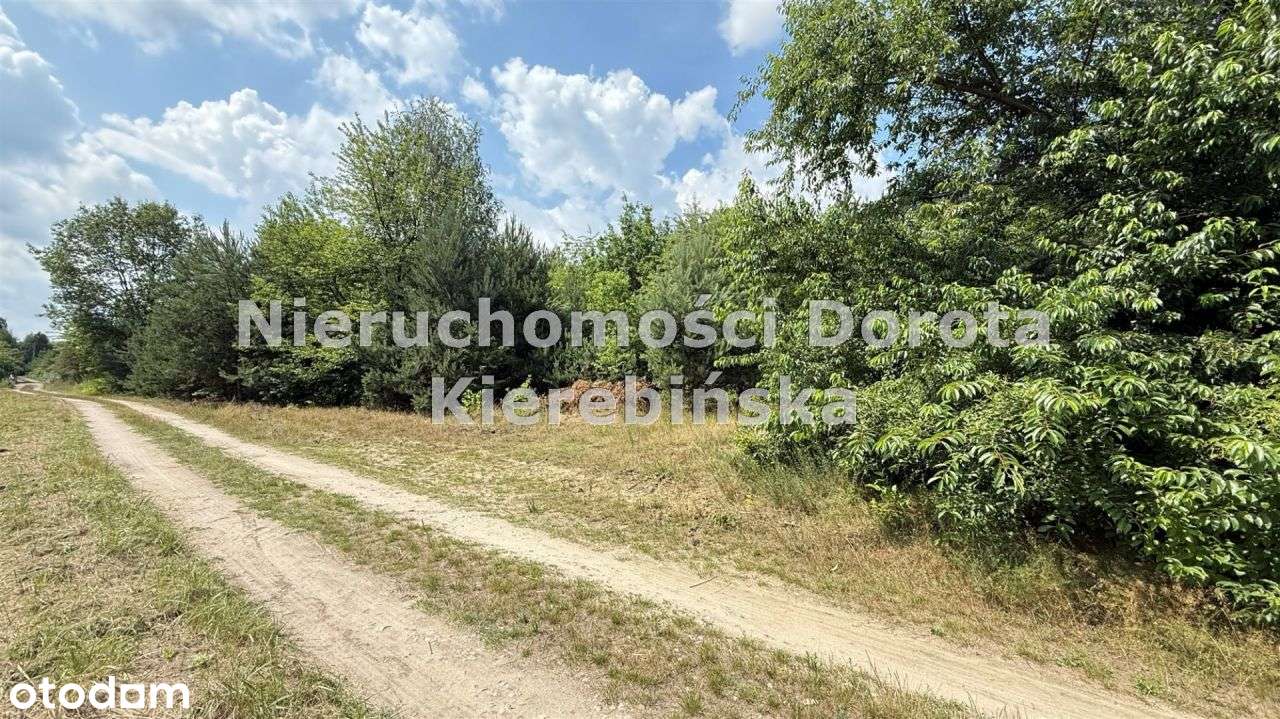 Działka w Swolszewicach Małych- 100 M do Pilicy. - Pełny obrazek: 5/12