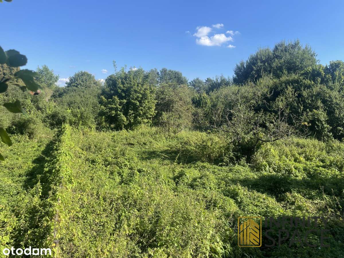 Frombork | Mpzp pod jednorodzinną lub usługi-8