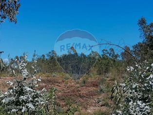Terreno  para venda - Grande imagem: 4/16