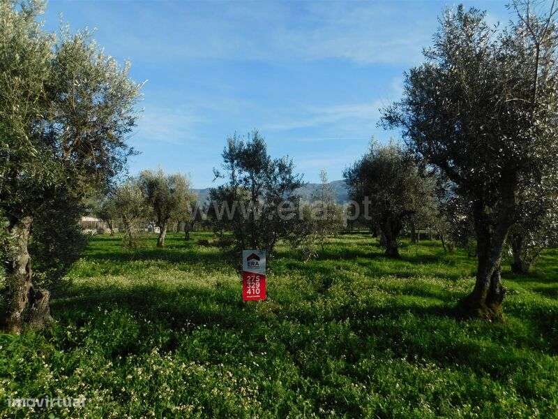 Terreno Rústico / Gouveia, Lagarinhos - Grande imagem: 1/6