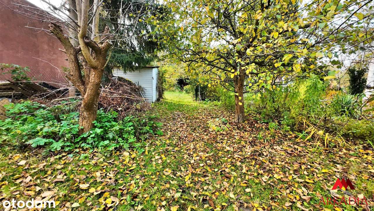 Działka ROD-Zawiśle Włocławek - Pełny obrazek: 4/7
