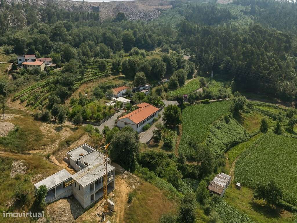 Quinta com 20.000 m² para Venda - Penacova-5