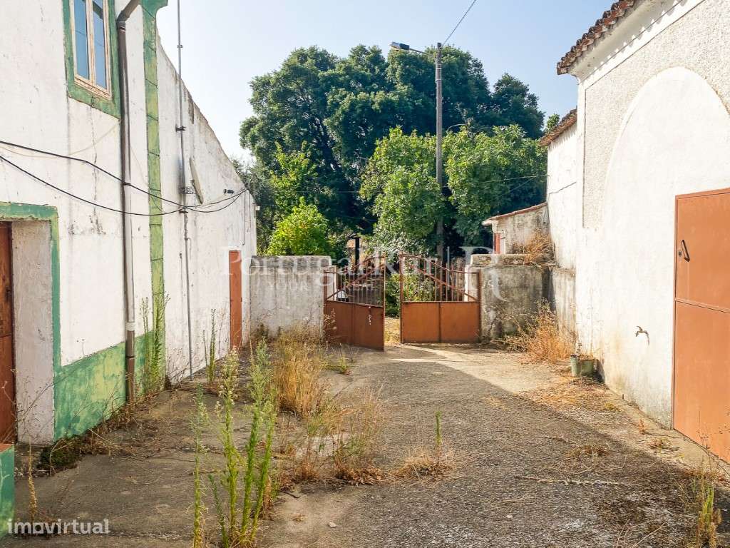 Quinta de 10 ha com projeto aprovado para 2 moradias em Marvão-8
