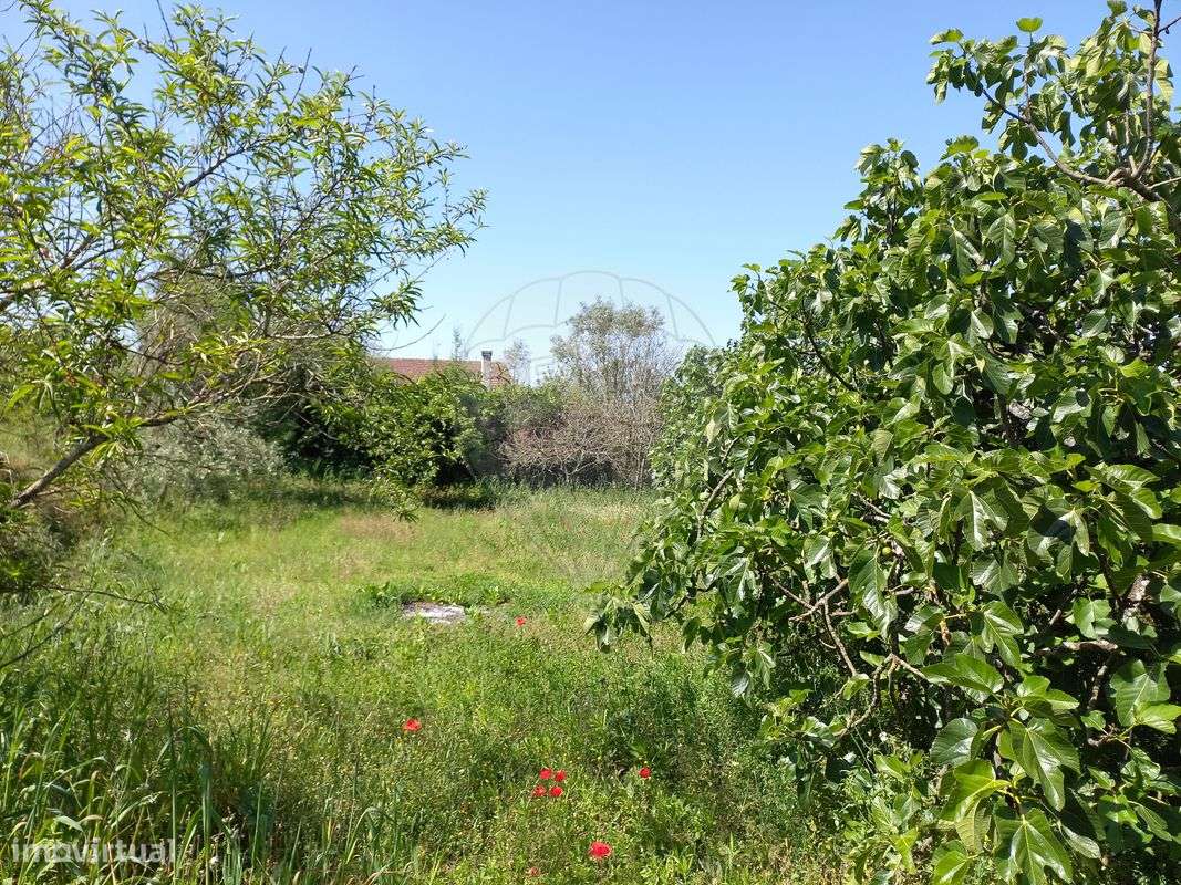 Terreno  para venda - Grande imagem: 2/3