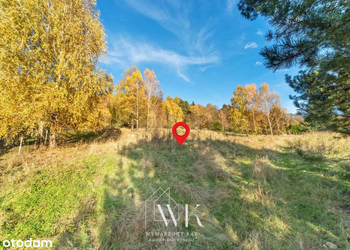 Duża działka z widokiem na góry w Wilkowicach! - Pełny obrazek: 4/12