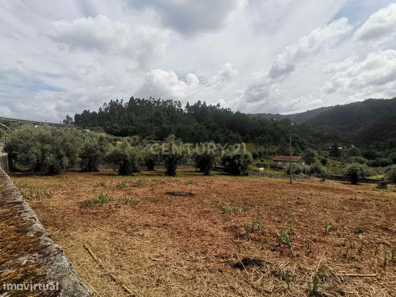 Terreno para Construção | Ceira-18