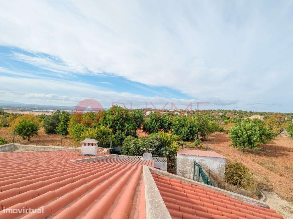 Moradia Rústica T6 com 5 Hectares em Tunes, Silves-35