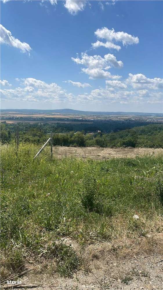 RECO Teren Extravilan Podgoria Oradea - Imagine principală: 5/10