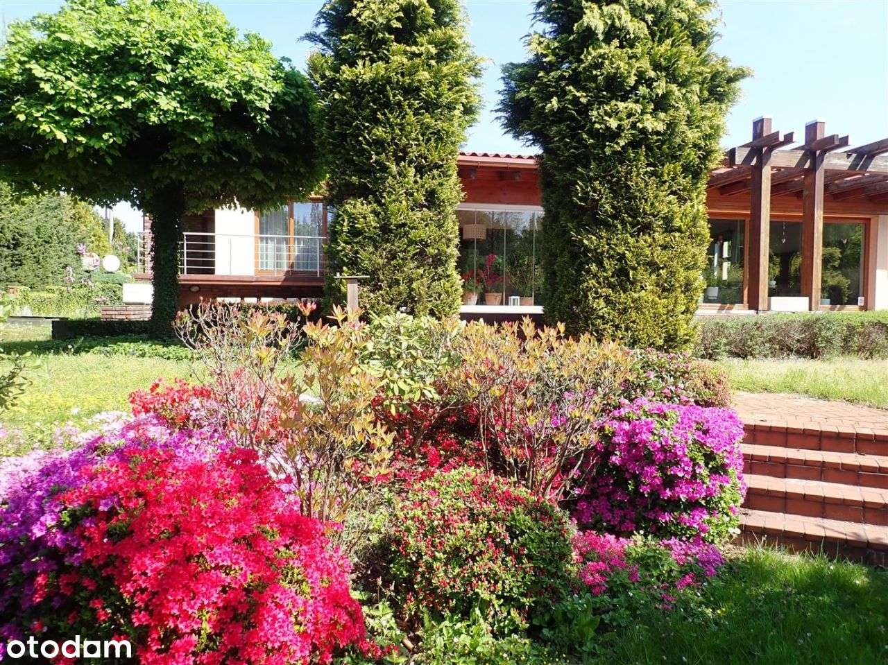 Dom parterowy w Rybniku Zamysłowie duża działka!-0