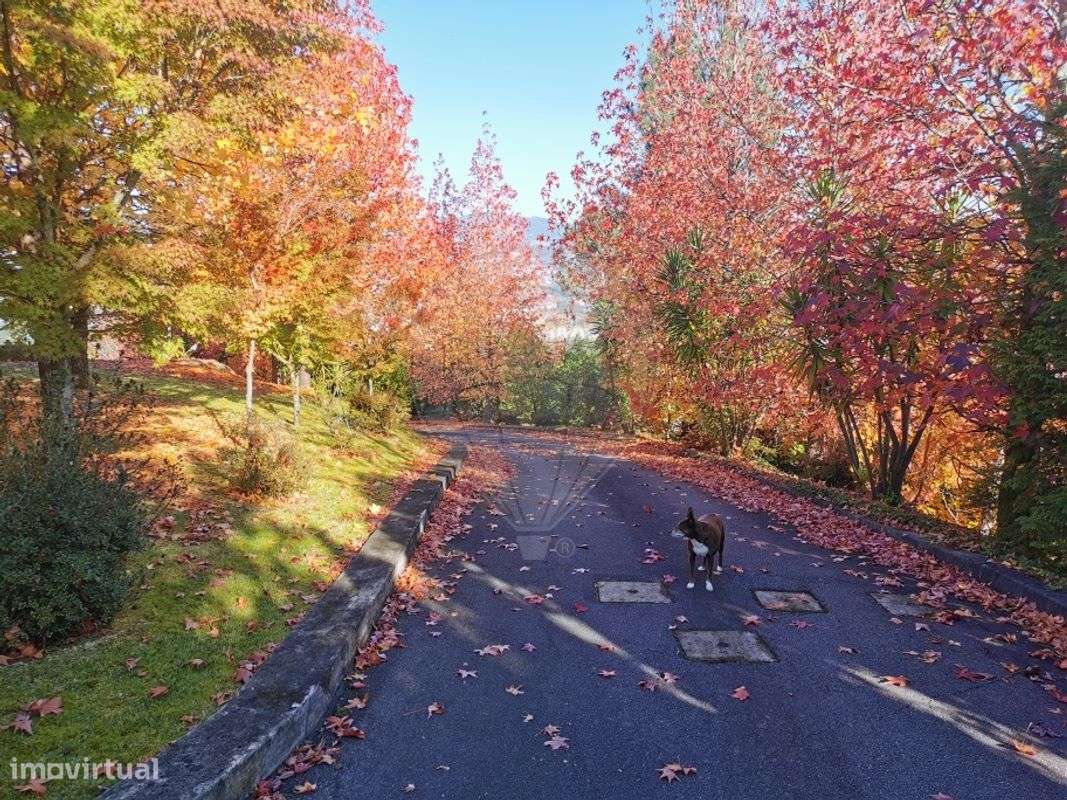 Moradia T3 para venda-35