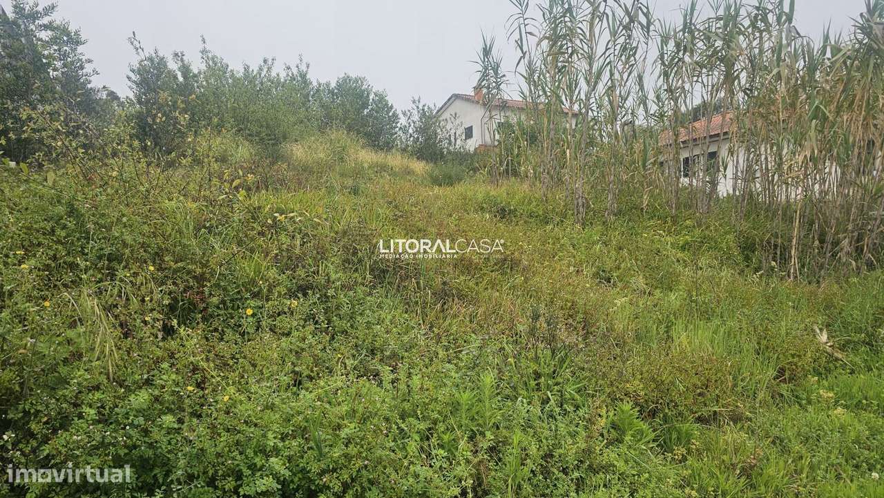 Lote Terreno | Moradia Isolada - Grande imagem: 5/7