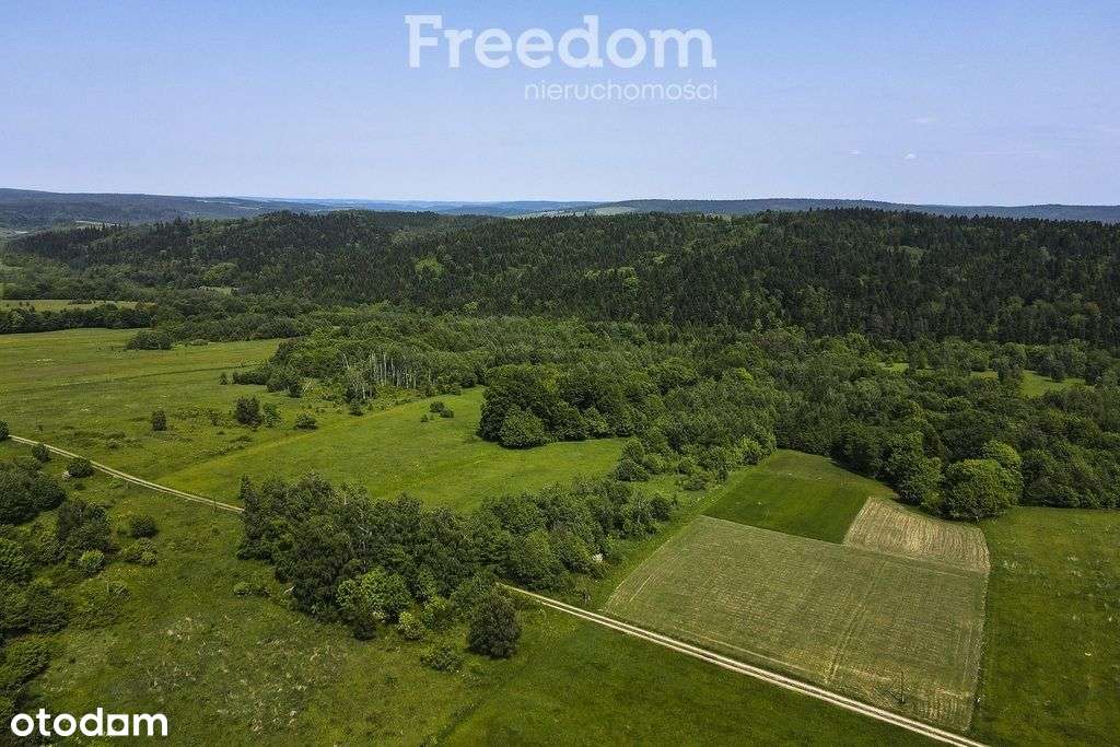 1,38 ha pod siedlisko, pasiekę lub fotowoltaikę - Pełny obrazek: 5/18