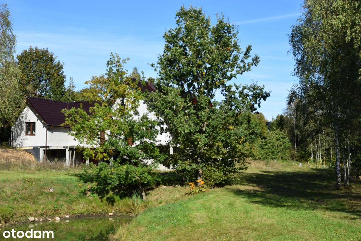 Dwa domy z potencjałem i dużą działką na Kaszubach-1