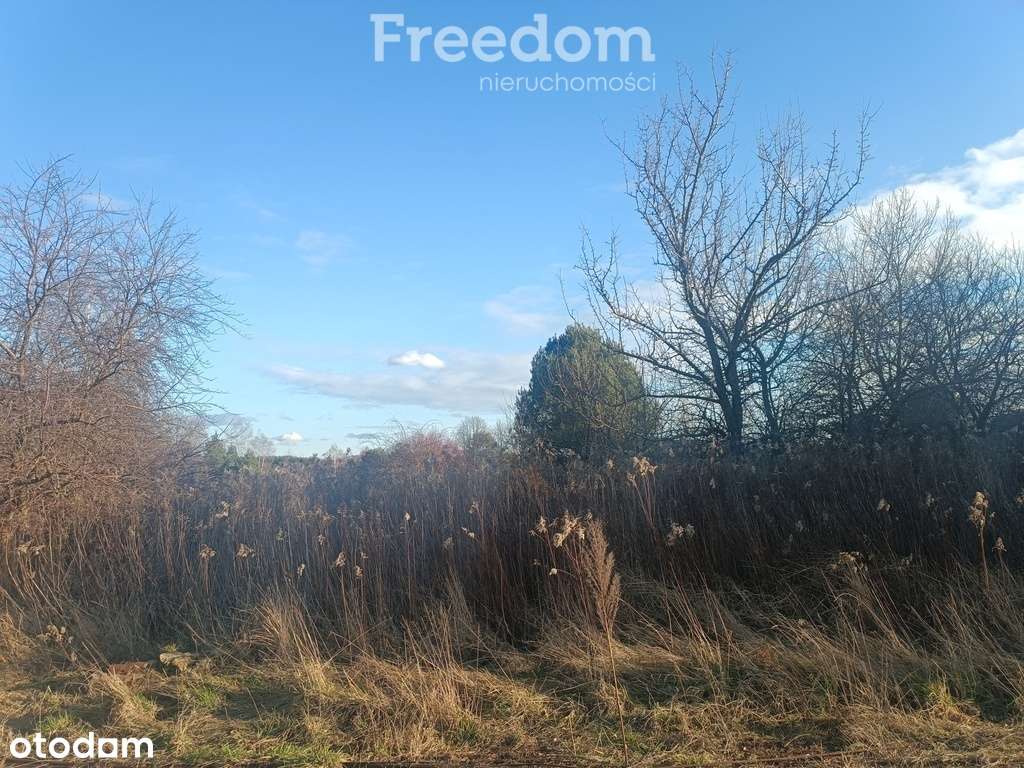 Działka budowlana 20 min od Piaseczna cicha - Pełny obrazek: 5/7