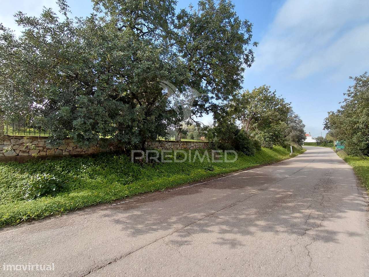 Terreno Rústico, 4.920 m², Perto de Olhão e Faro - Grande imagem: 5/6