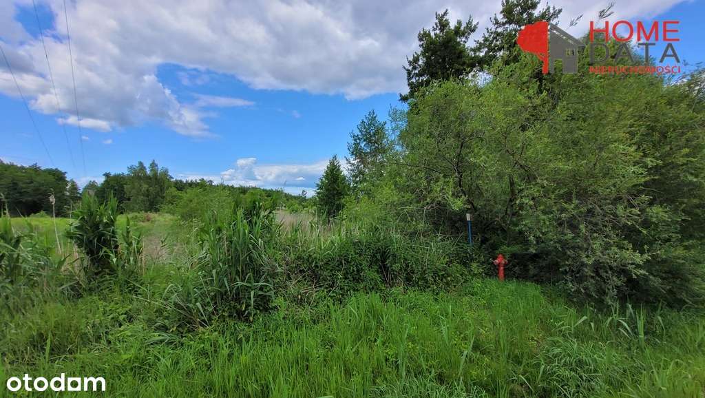 Teren dla dewelopera / inwestora - Miętowa-9