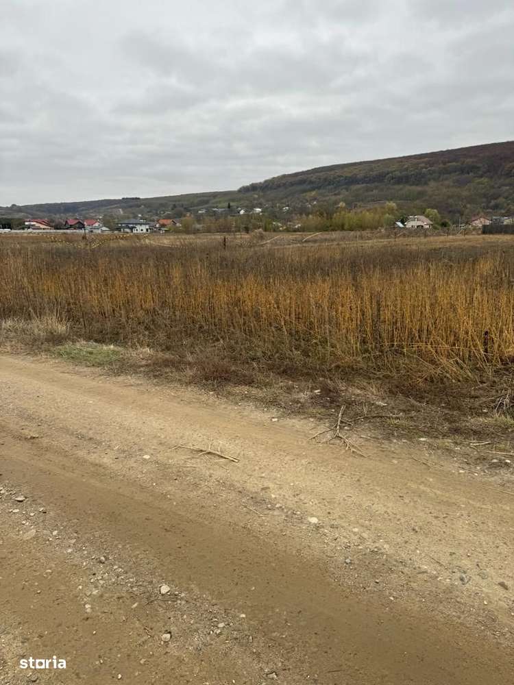 Teren Intravilan ideal constructie cartier vile Hemeius langa scoala - Imagine principală: 4/11