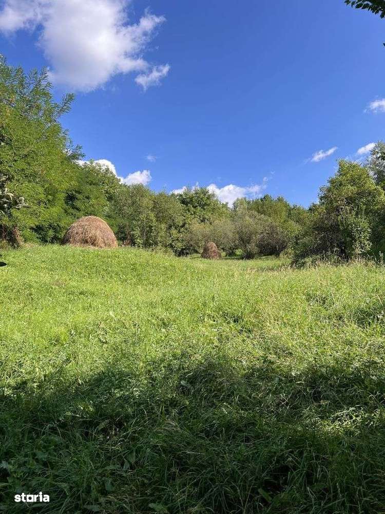 Vand teren intravilan - Breaza Valea Tarsei strada Tudosesti 4300 mp - Imagine principală: 4/20