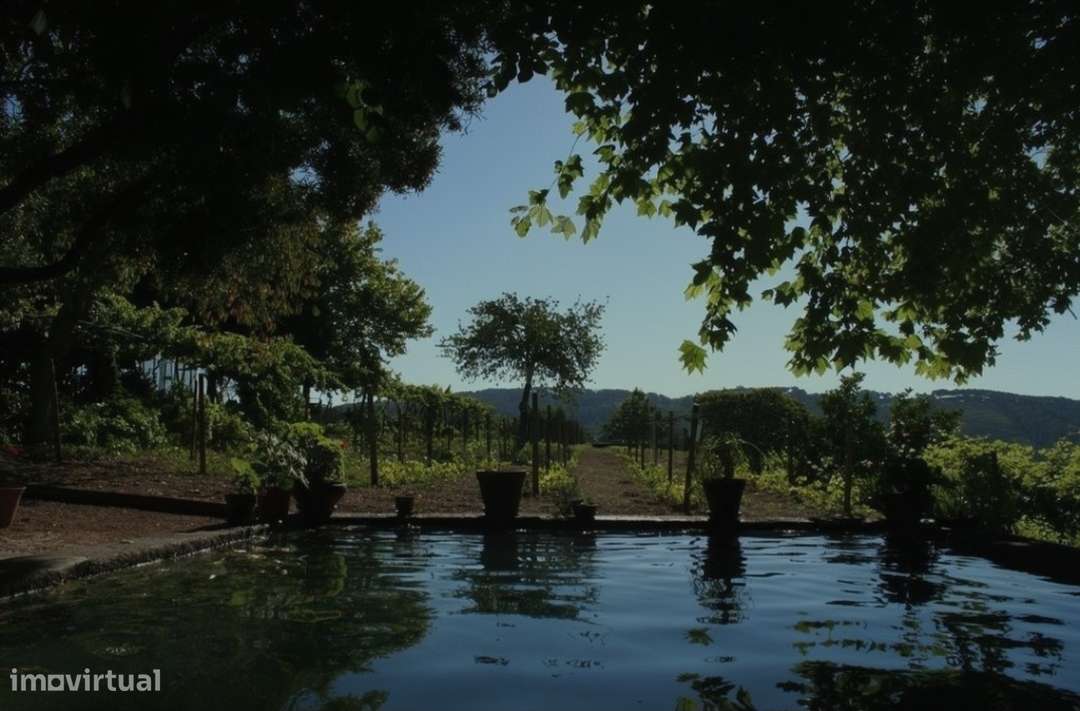 Quinta da Cumeira-22