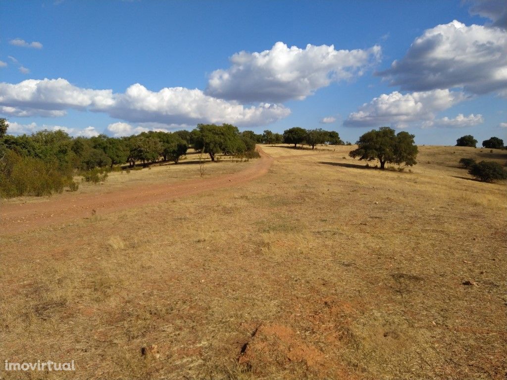 Herdade com 110 ha próximo da Vila de Redondo