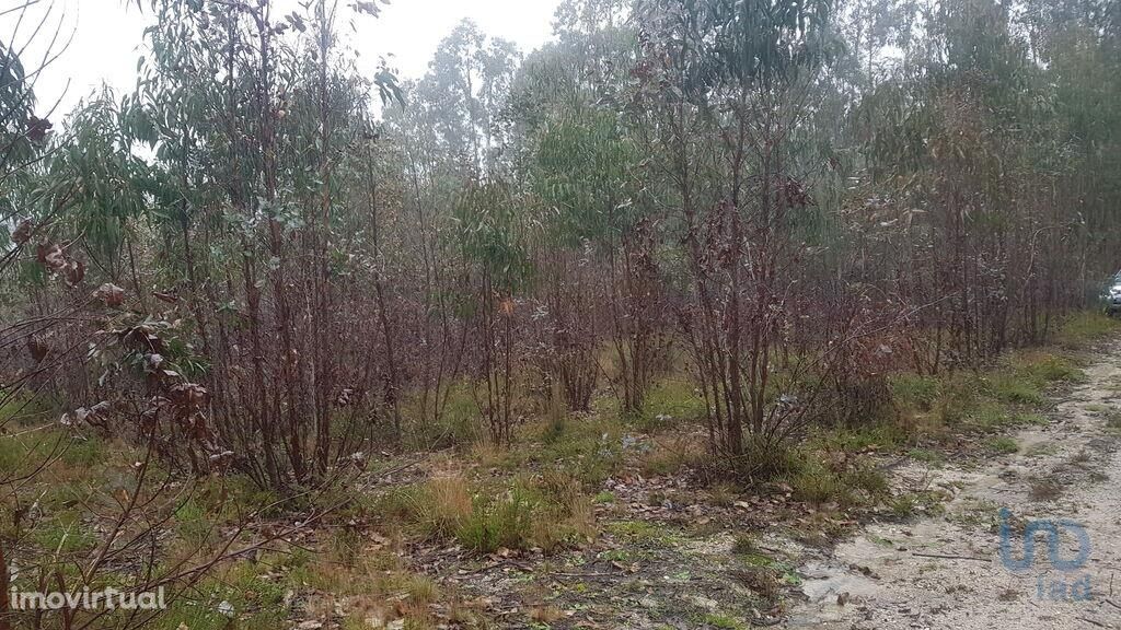 Terreno Agrícola em Leiria de 1760,00 m2