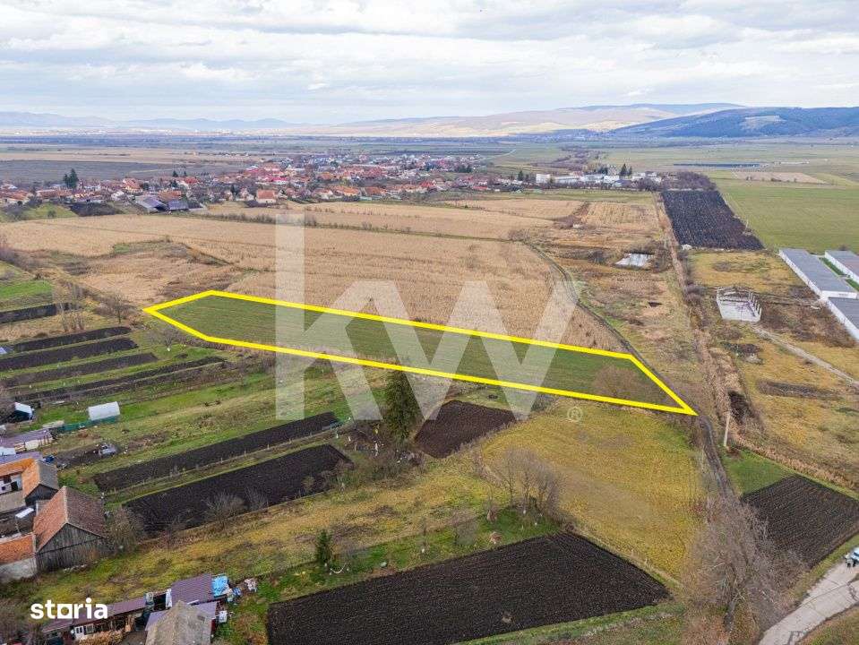Teren 10000 mp in Extravilan, Bod, Brasov- COMISION 0%-16