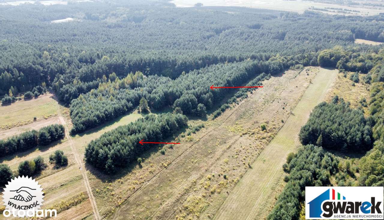 Prostokątna Działka Leśna, 15420 m2, Zederman-6